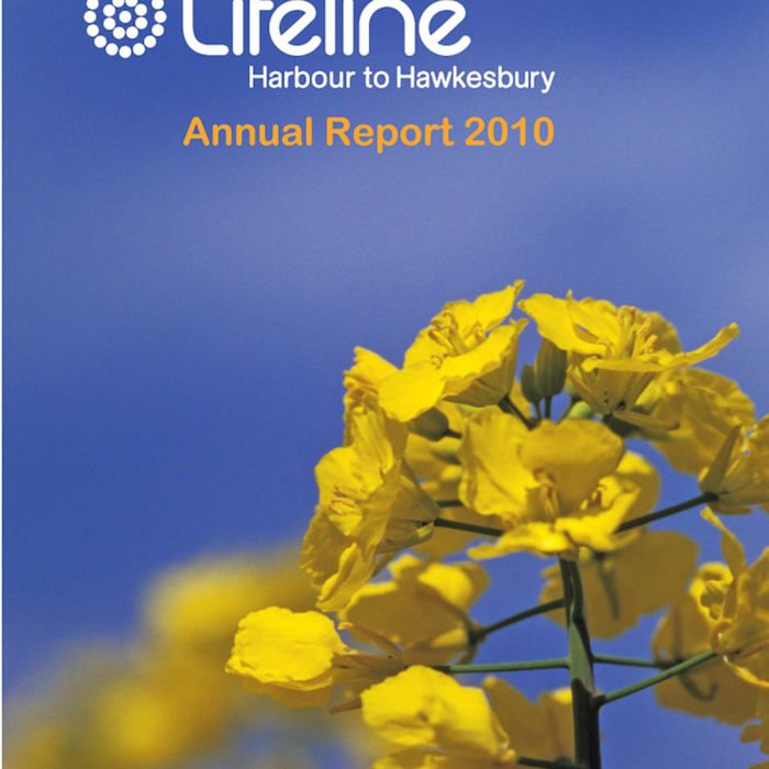front cover of lifeline H2H annual report 2010