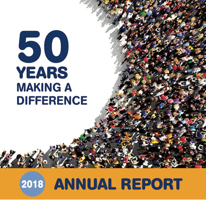 front cover of lifeline H2H annual report 2018