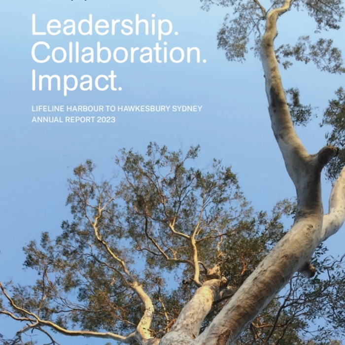 front cover of lifeline H2H annual report 2023